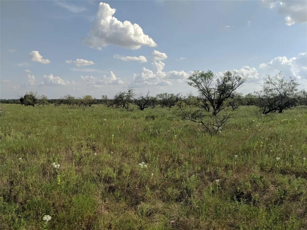 Hwy 36 E. Tract 1 Jonesboro, TX 76538