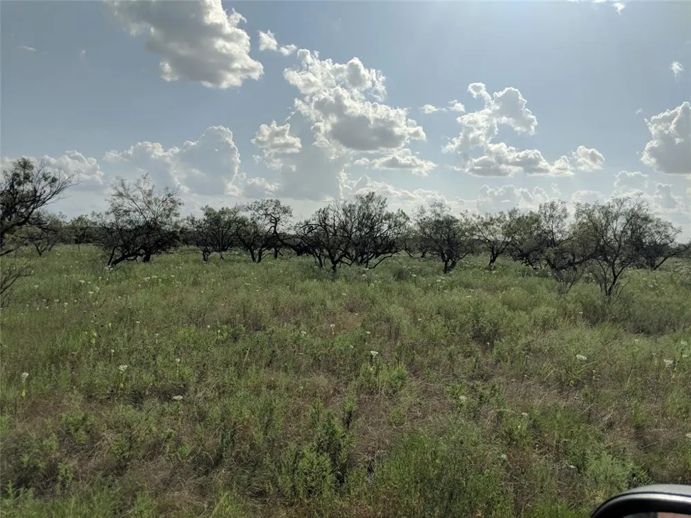 Hwy 36 E. Tract 1 Jonesboro, TX 76538