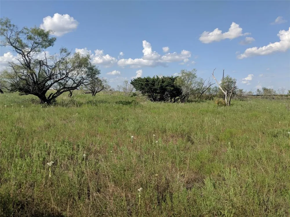 Hwy 36 E. Tract 1 Jonesboro, TX 76538