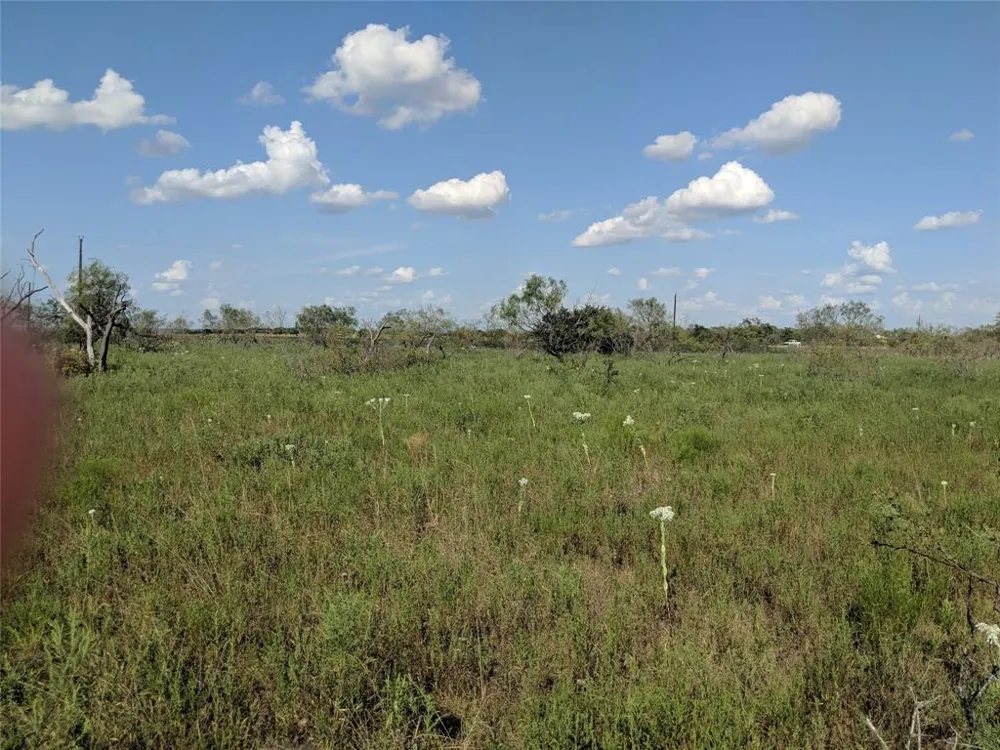 Hwy 36 E. Tract 1 Jonesboro, TX 76538