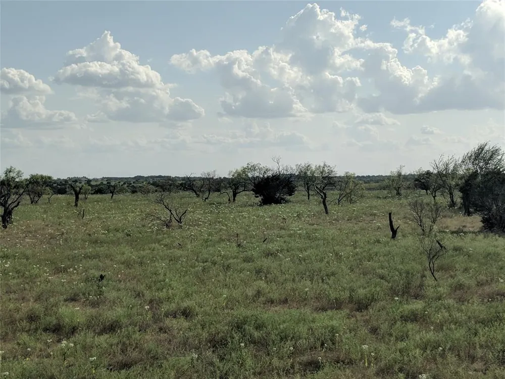 Hwy 36 E. Tract 1 Jonesboro, TX 76538