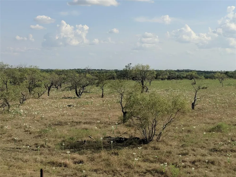 Hwy 36 E. Tract 1 Jonesboro, TX 76538