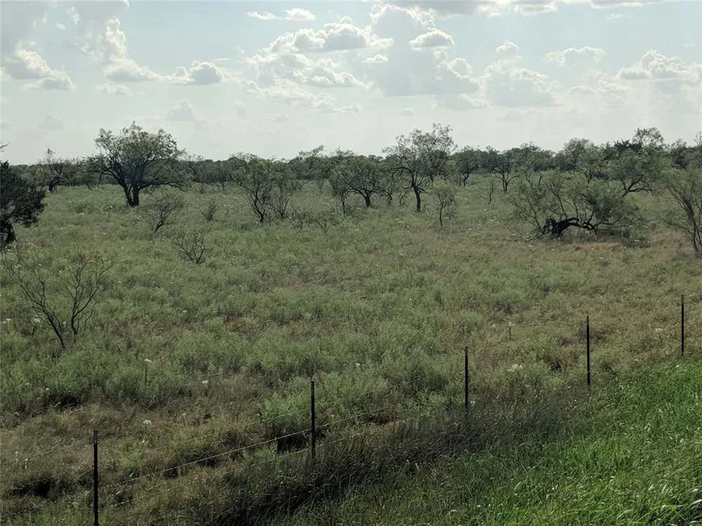 HWY 36 E. Tract 2 Jonesboro, TX 76538