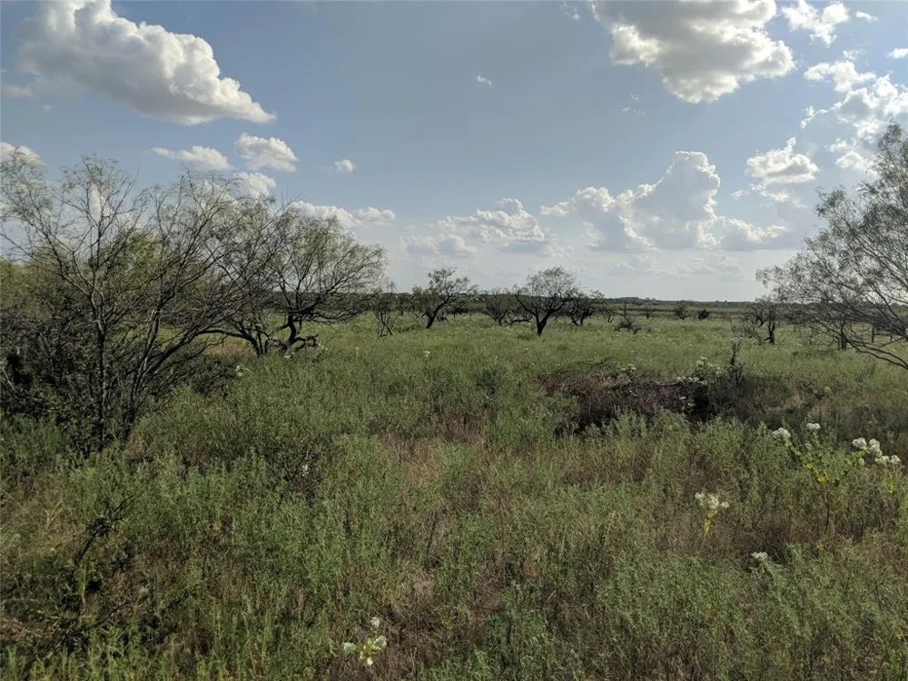 HWY 36 E. Tract 2 Jonesboro, TX 76538