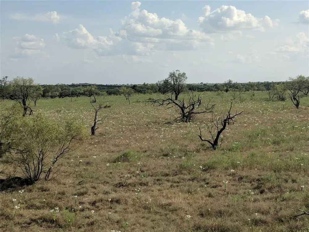 HWY 36 E. Tract 2 Jonesboro, TX 76538