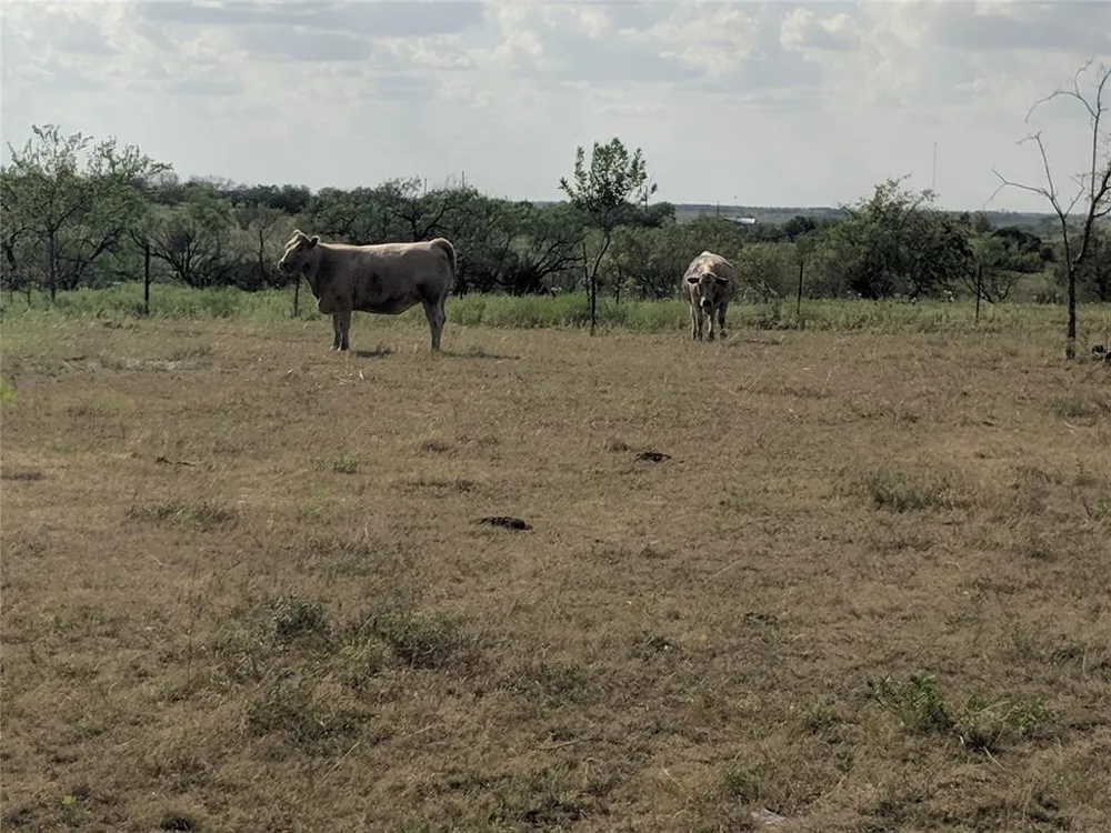 HWY 36 E. Tract 2 Jonesboro, TX 76538