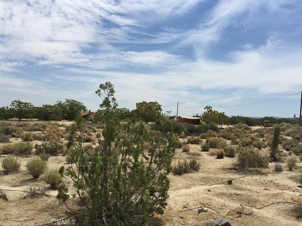 248 E , On Hwy. 138 Llano, CA 93544