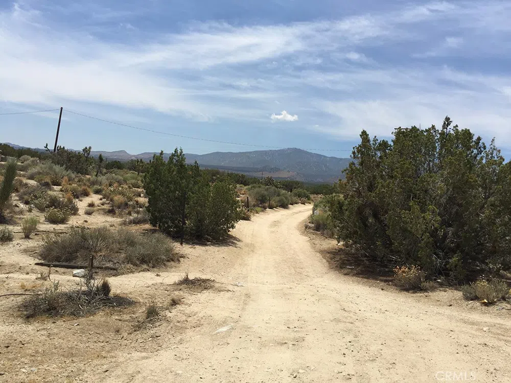 248 E , On Hwy. 138 Llano, CA 93544
