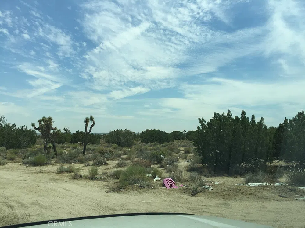 248 E , On Hwy. 138 Llano, CA 93544