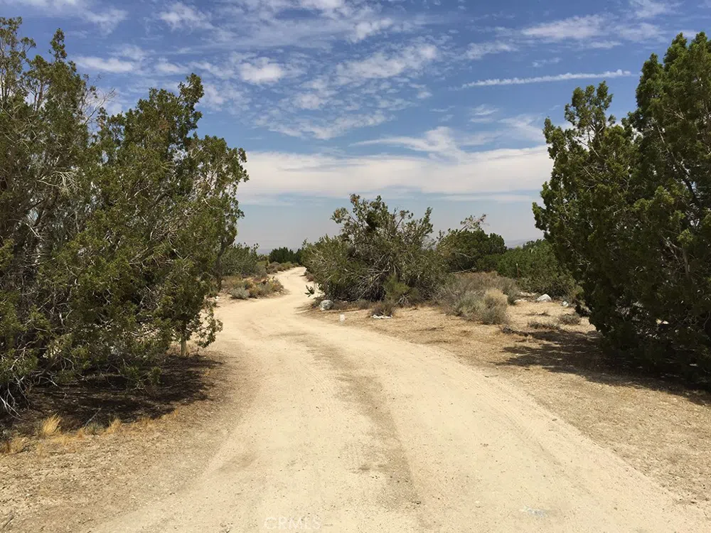 248 E , On Hwy. 138 Llano, CA 93544