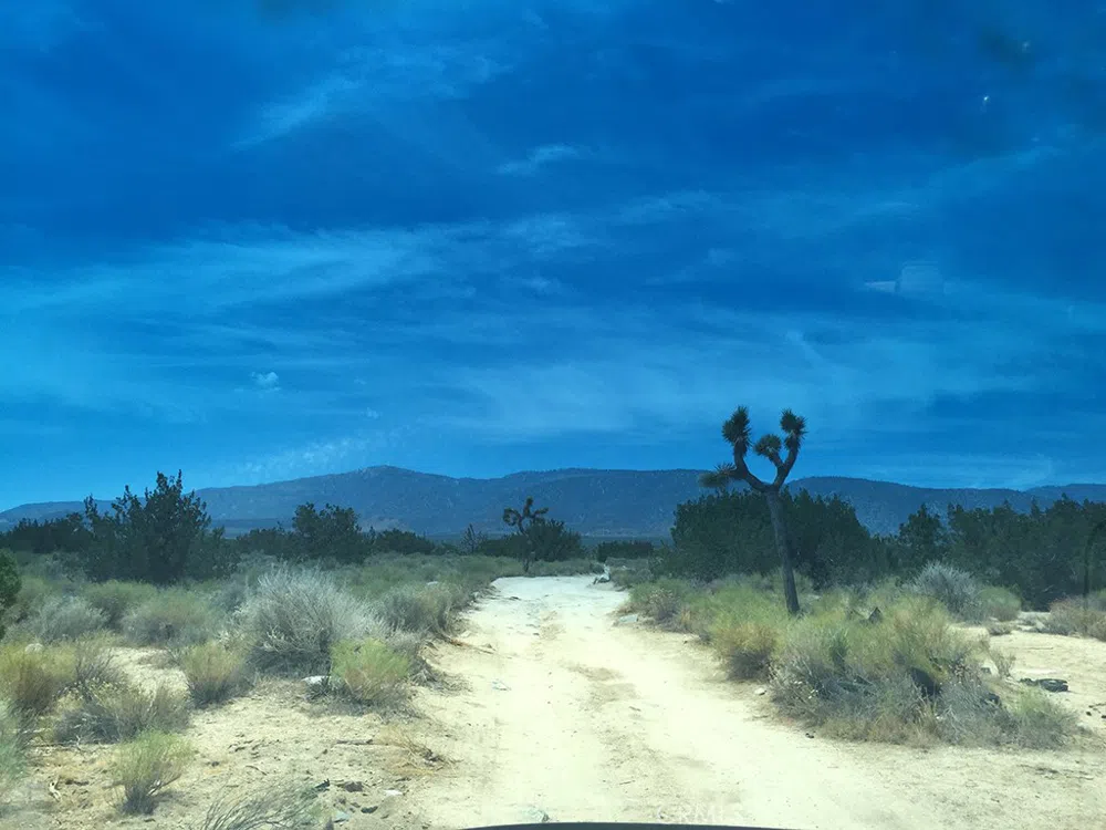 248 E , On Hwy. 138 Llano, CA 93544