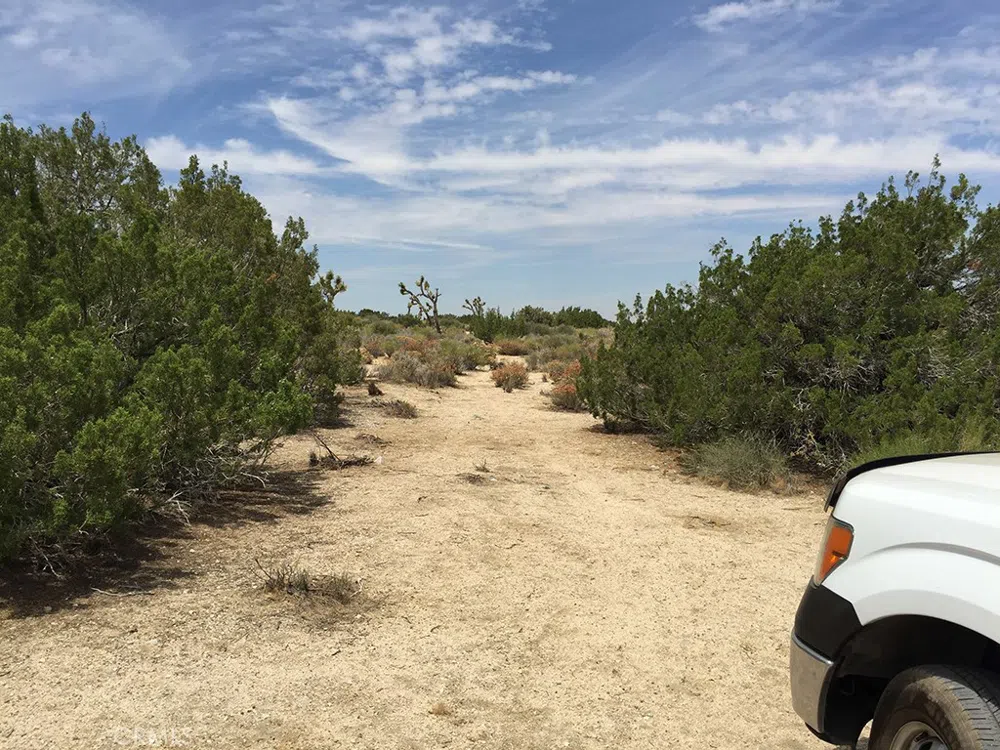248 E , On Hwy. 138 Llano, CA 93544