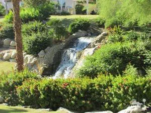 49549 Lewis Road Indio, CA 92201