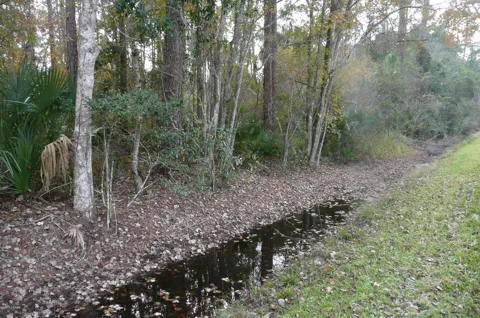 OLD DELAND ROAD
