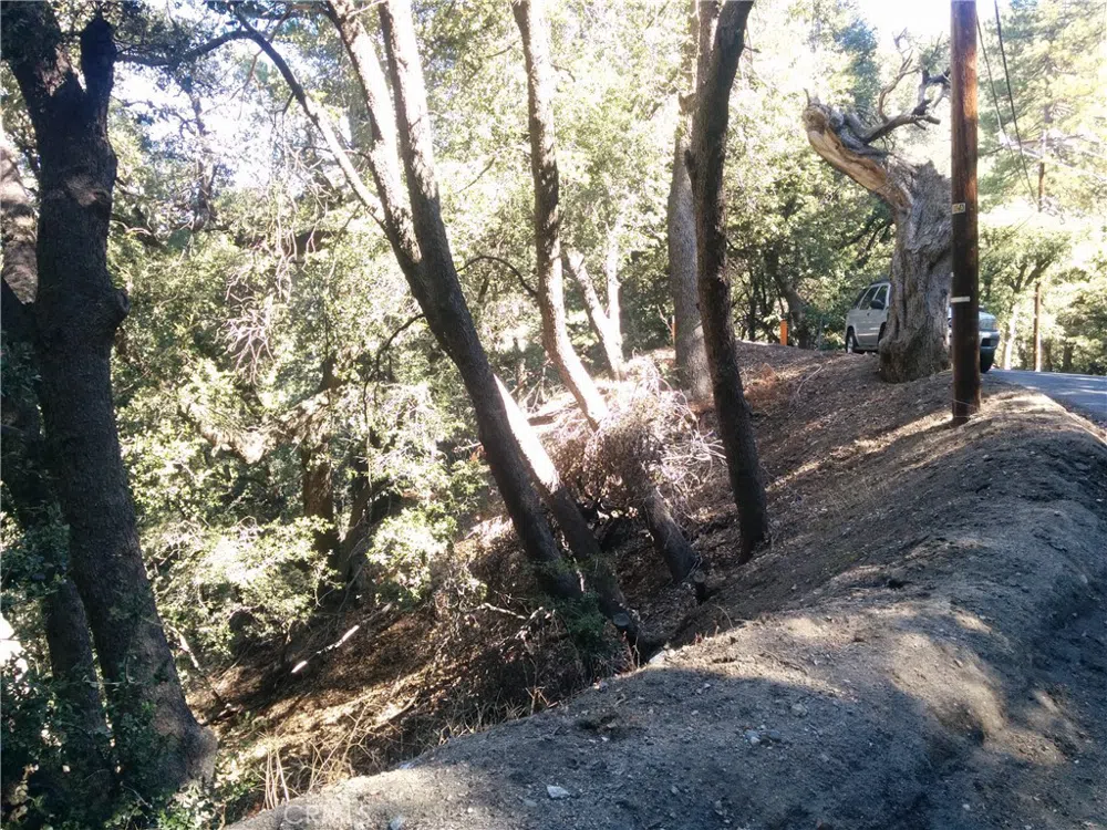 CHILLION DRIVE Crestline, CA 92325