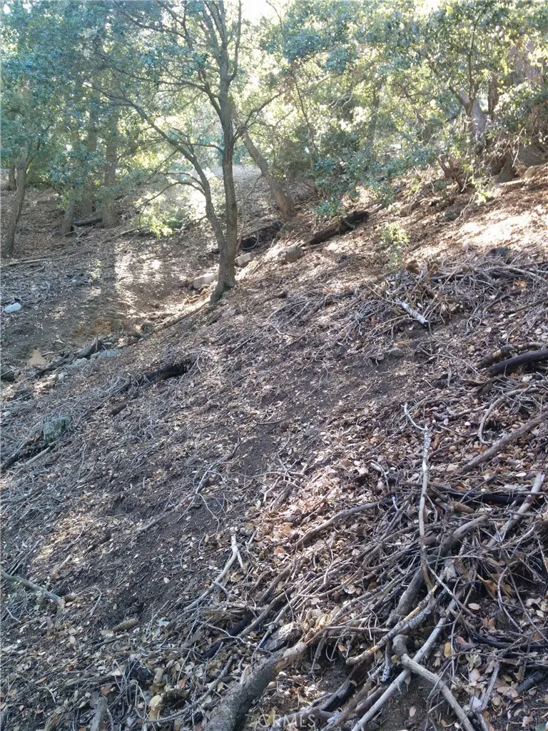 CHILLION DRIVE Crestline, CA 92325