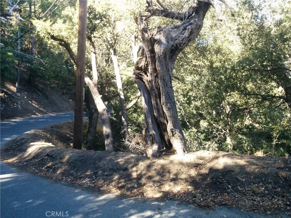 CHILLION DRIVE Crestline, CA 92325