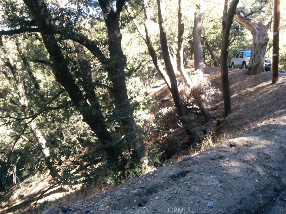 CHILLION DRIVE Crestline, CA 92325