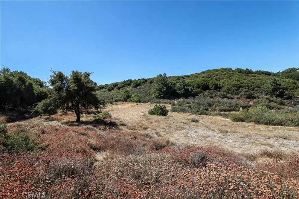 19030 Highway 243 Banning, CA 92220