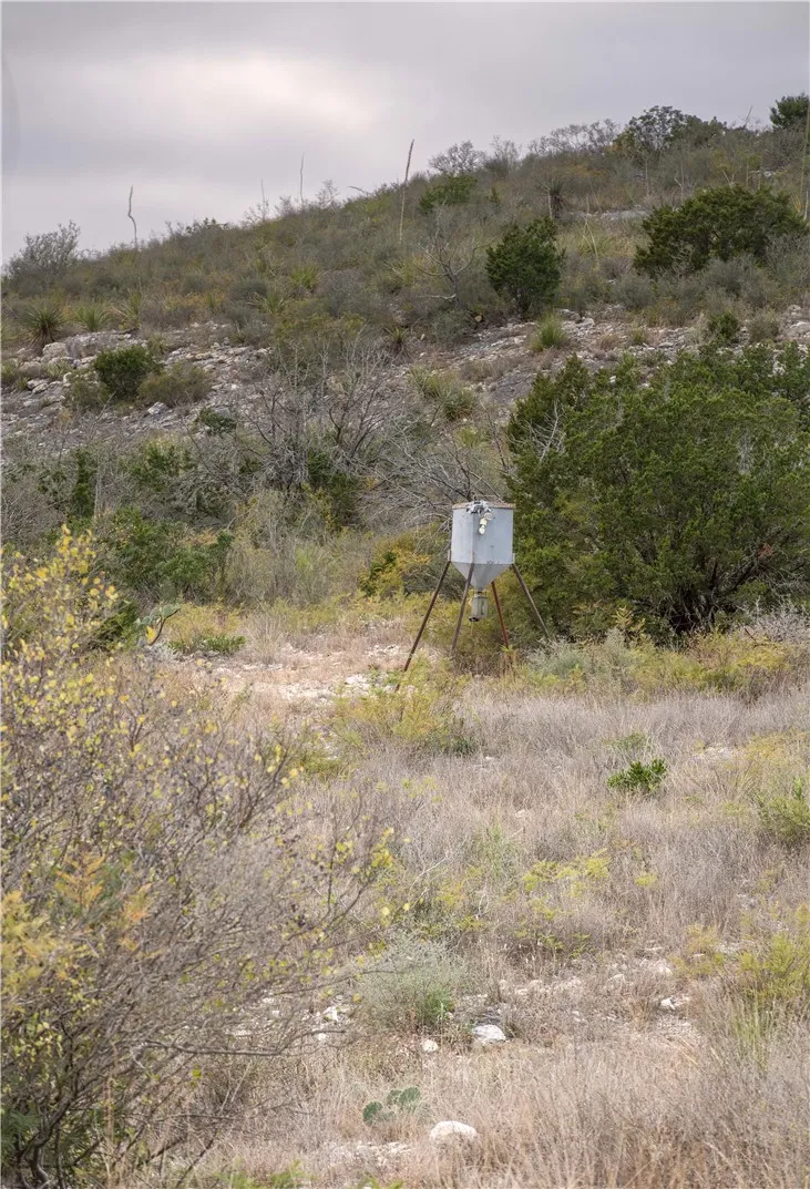 Leona Ranch Road Brackettville, TX 78832