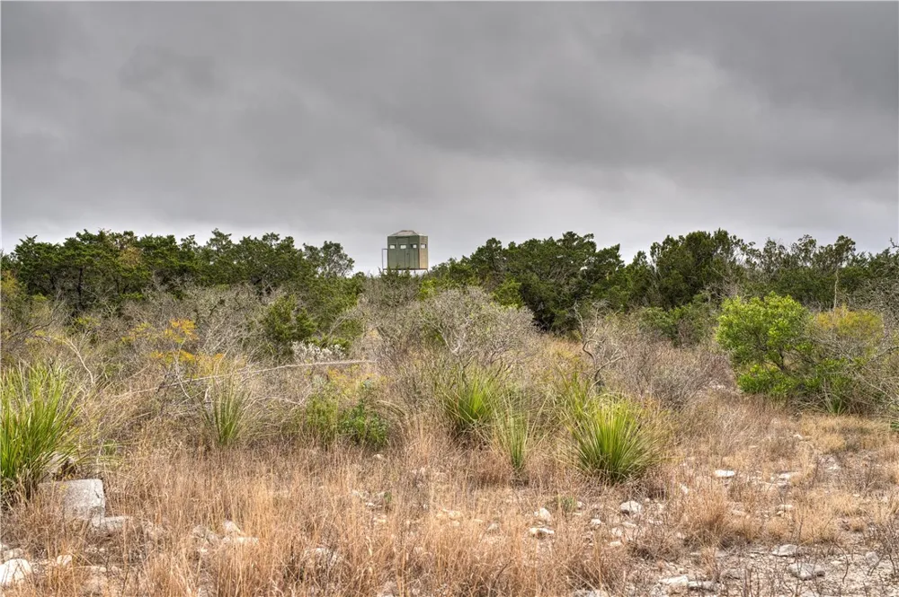 Leona Ranch Road Brackettville, TX 78832