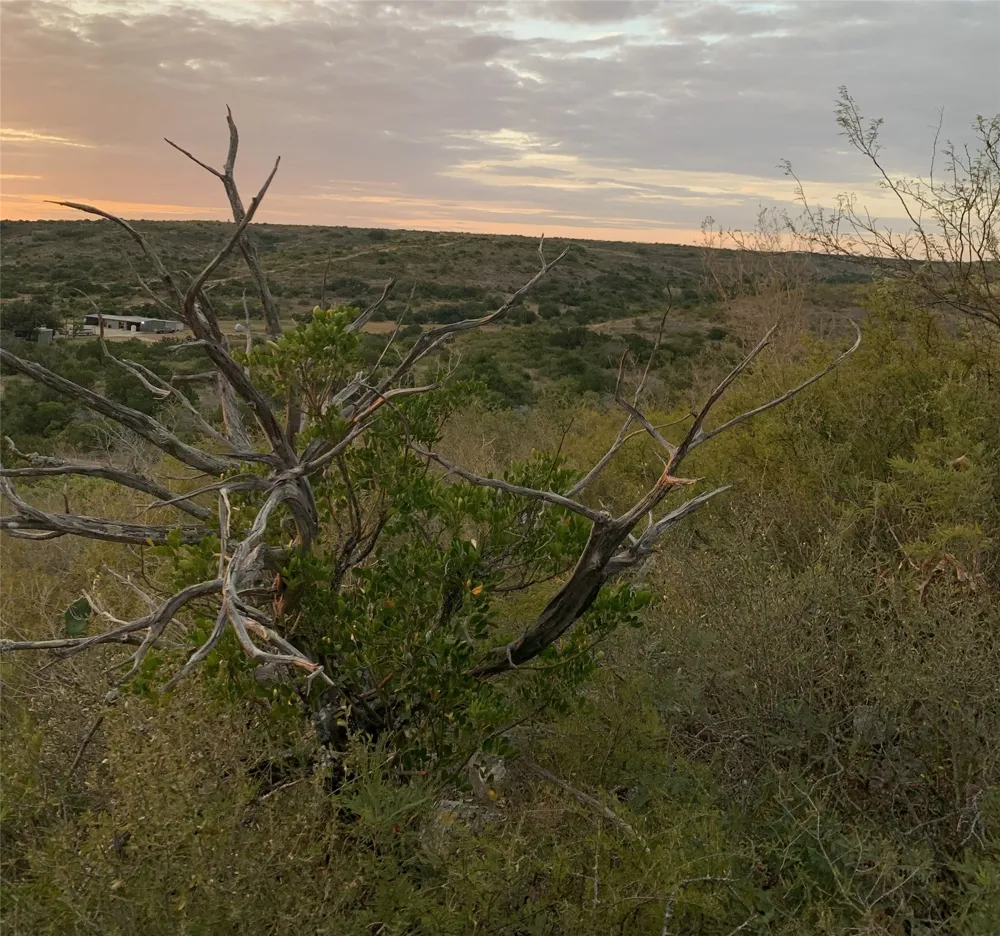 Leona Ranch Road Brackettville, TX 78832