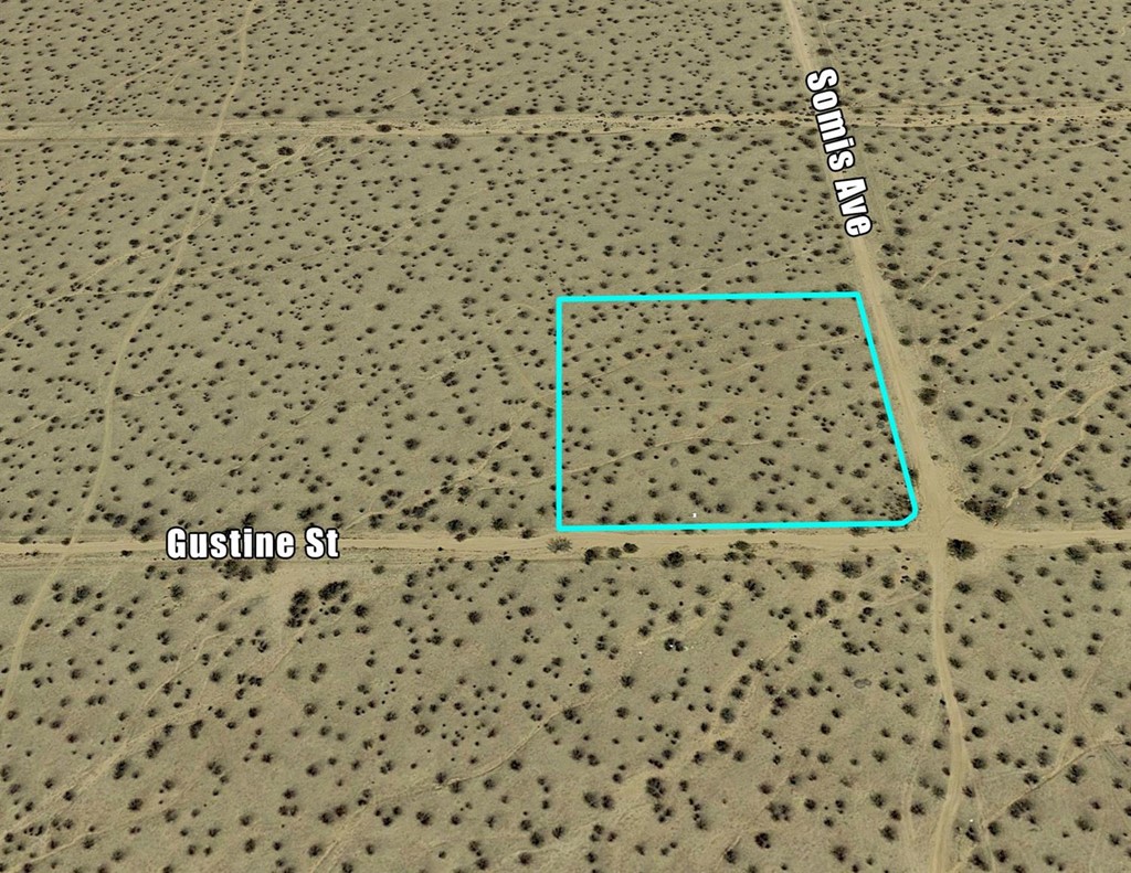 Gustine Street Apple Valley, CA 92307