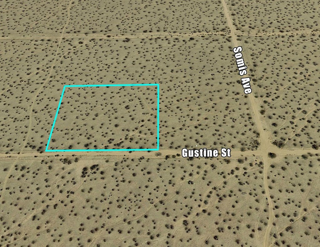 Gustine Street Apple Valley, CA 92307