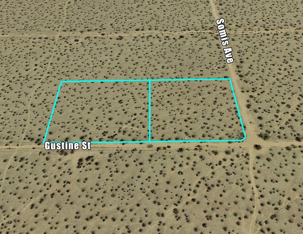 Gustine Street Apple Valley, CA 92307