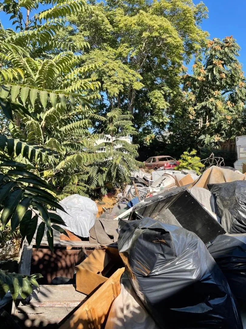914 Harliss Avenue San Jose, CA 95110