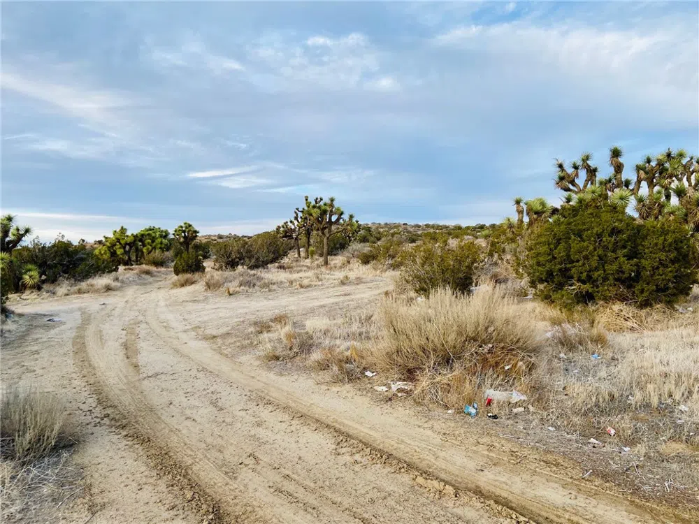 1 Vac/Avenue S/Vic Avenue Palmdale, CA 93551