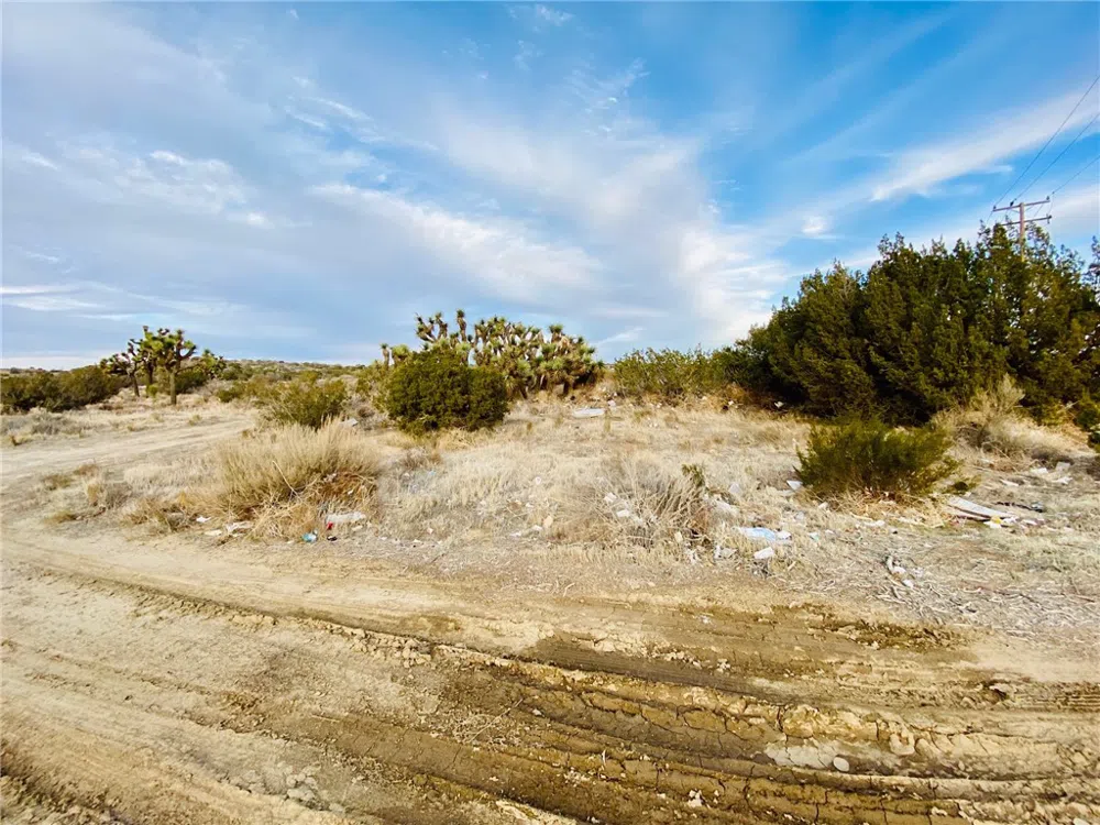 1 Vac/Avenue S/Vic Avenue Palmdale, CA 93551