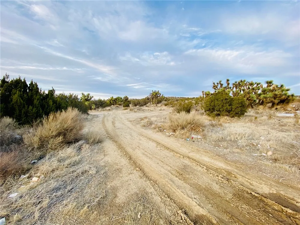1 Vac/Avenue S/Vic Avenue Palmdale, CA 93551