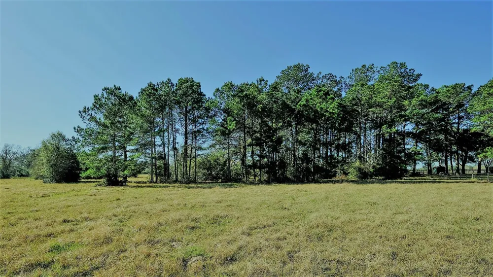 26266 Fields Store Road Hockley, TX 77484