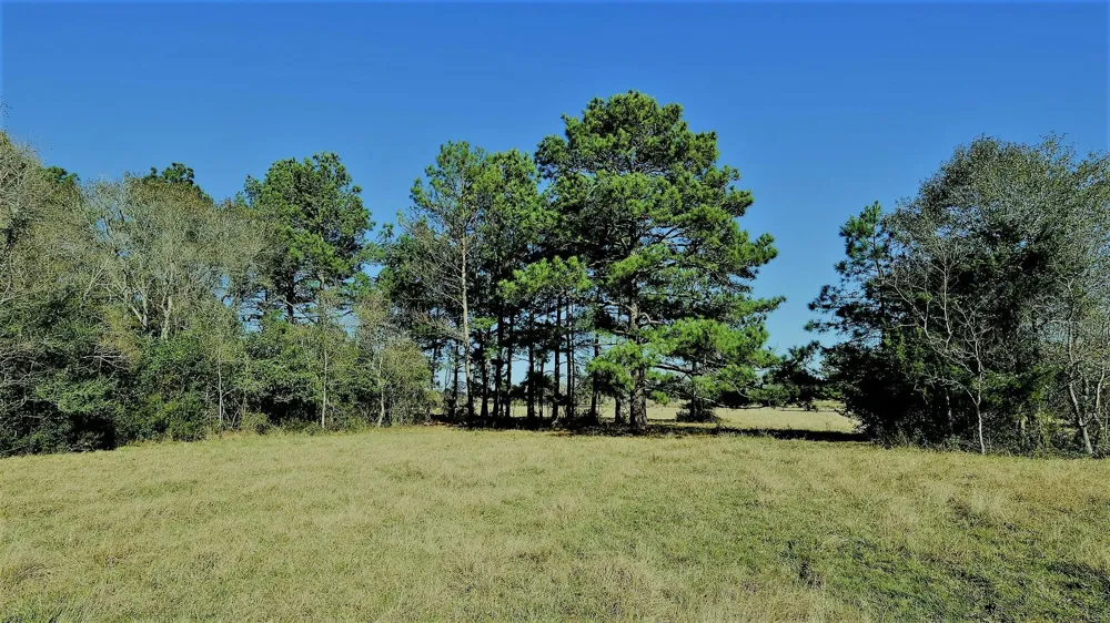 26266 Fields Store Road Hockley, TX 77484