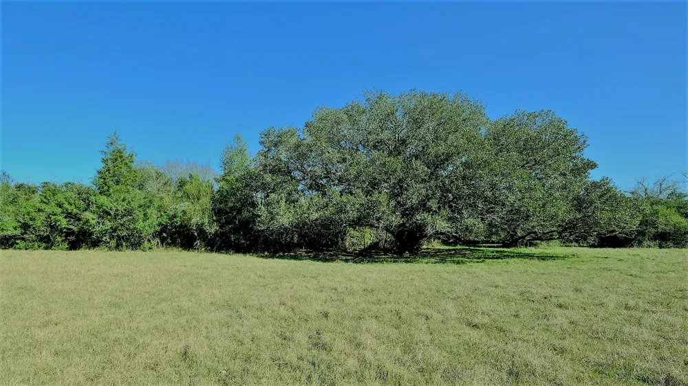 26266 Fields Store Road Hockley, TX 77484