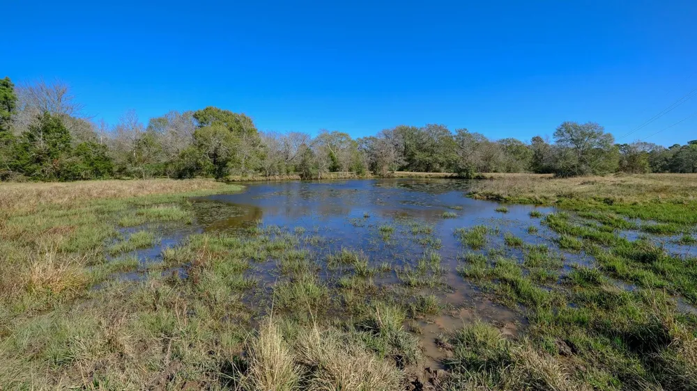 26266 Fields Store Road Hockley, TX 77484