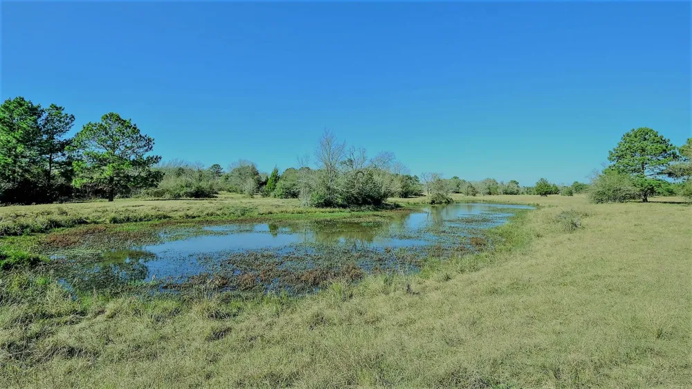 26266 Fields Store Road Hockley, TX 77484