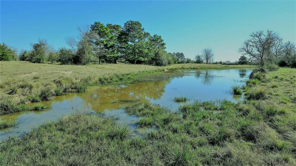 26266 Fields Store Road Hockley, TX 77484