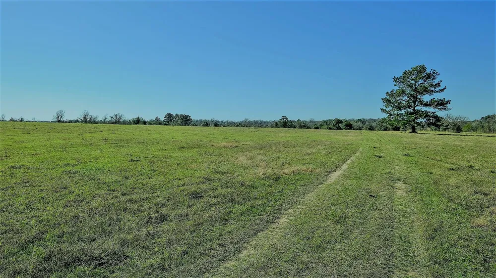 26266 Fields Store Road Hockley, TX 77484