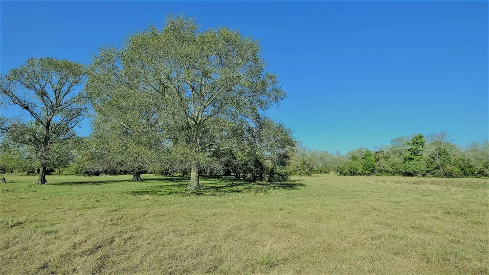26266 Fields Store Road Hockley, TX 77484