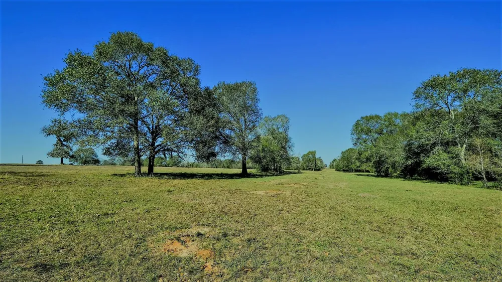 26266 Fields Store Road Hockley, TX 77484