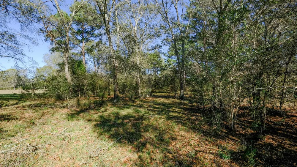 26266 Fields Store Road Hockley, TX 77484