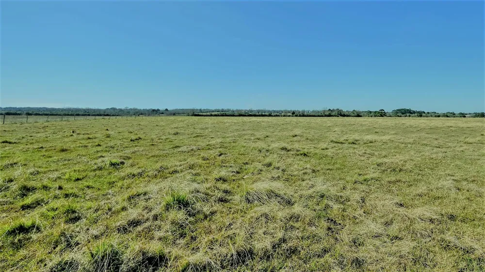 26266 Fields Store Road Hockley, TX 77484