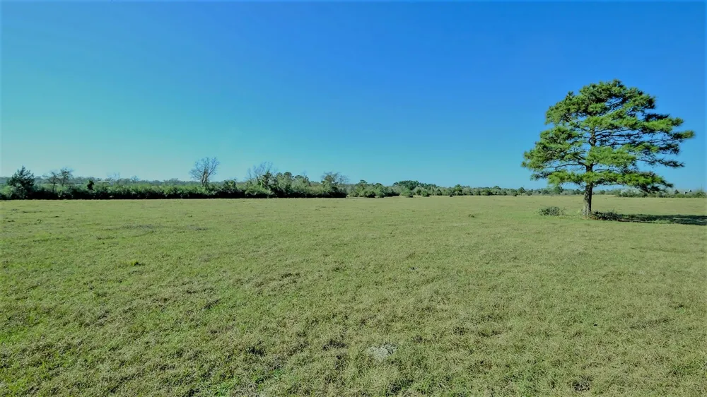 26266 Fields Store Road Hockley, TX 77484