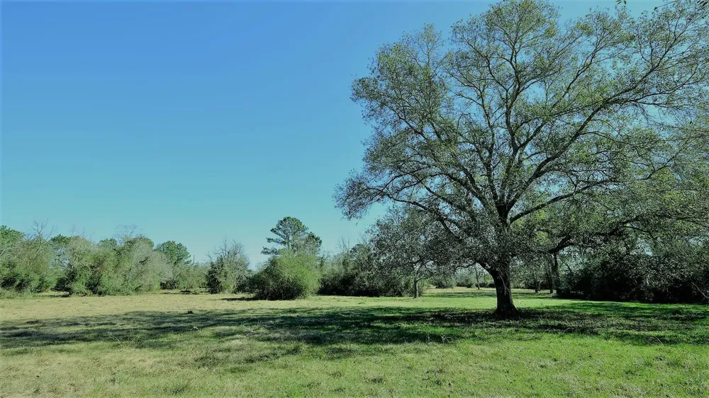 26266 Fields Store Road Hockley, TX 77484