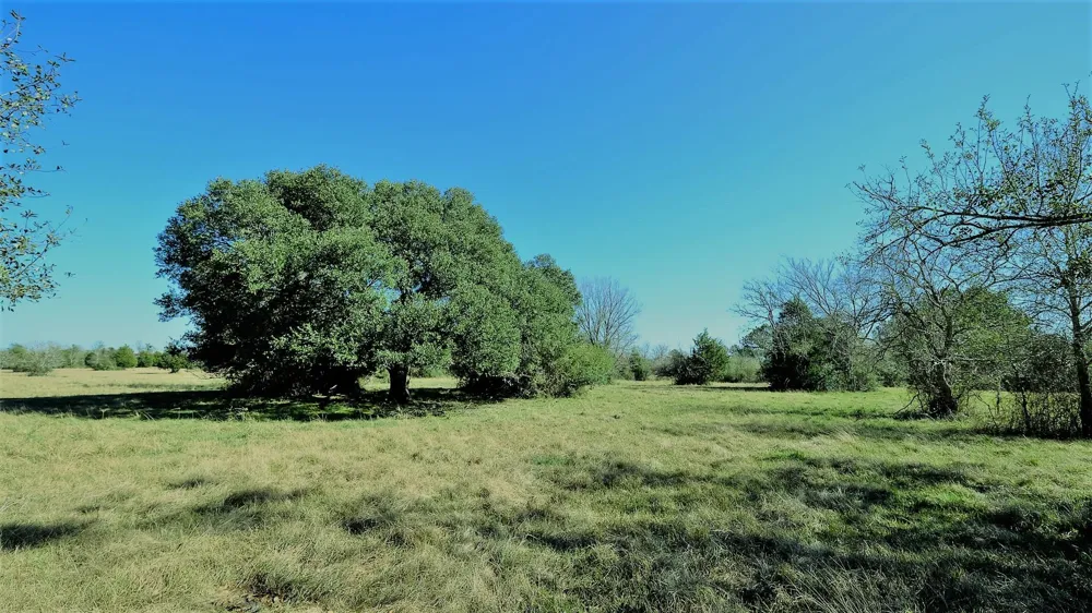 26266 Fields Store Road Hockley, TX 77484