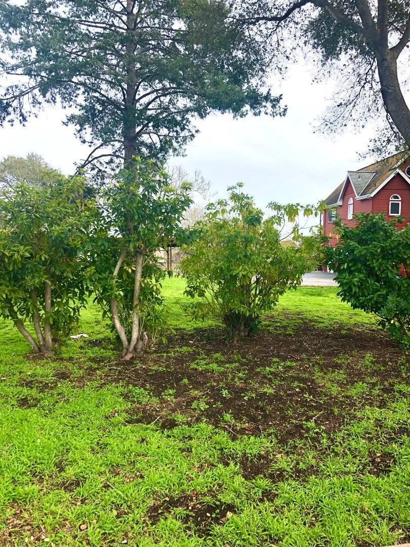 414 California Street Santa Cruz, CA 95060