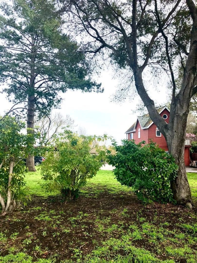 414 California Street Santa Cruz, CA 95060