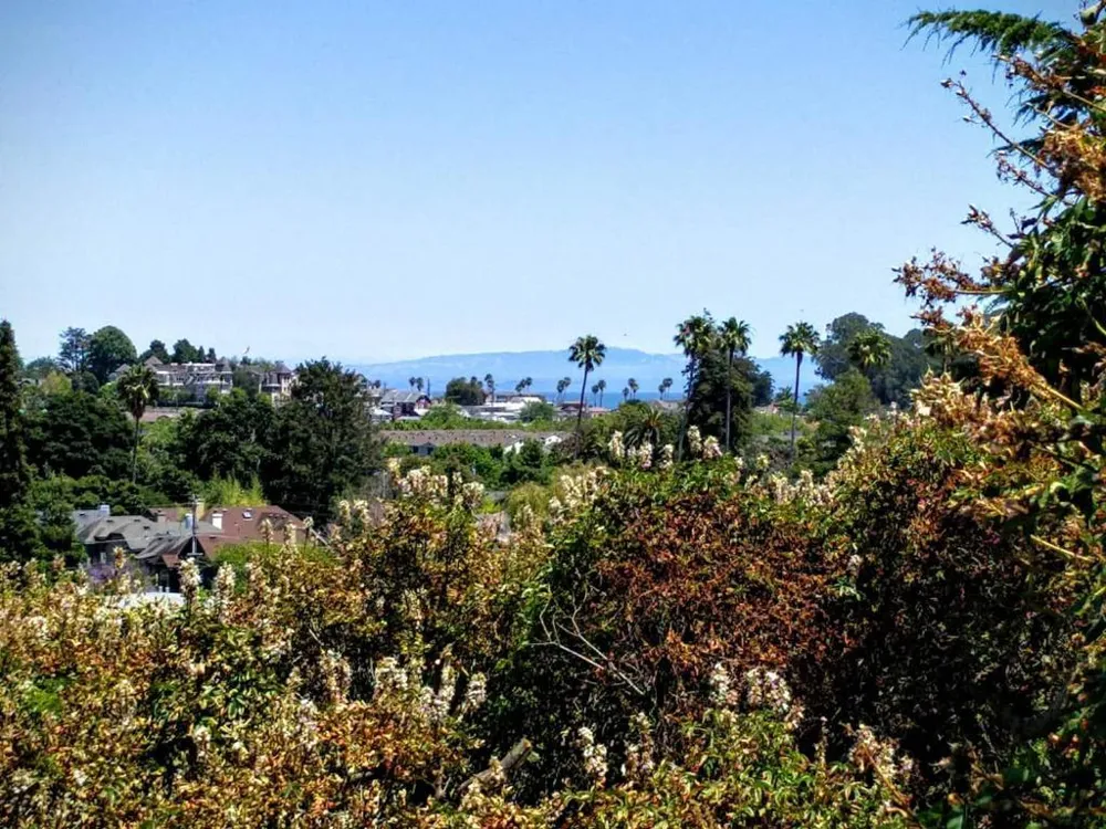 414 California Street Santa Cruz, CA 95060